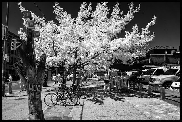 infrared photography with takumar lenses.